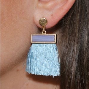 NWOT Fringe Earrings!